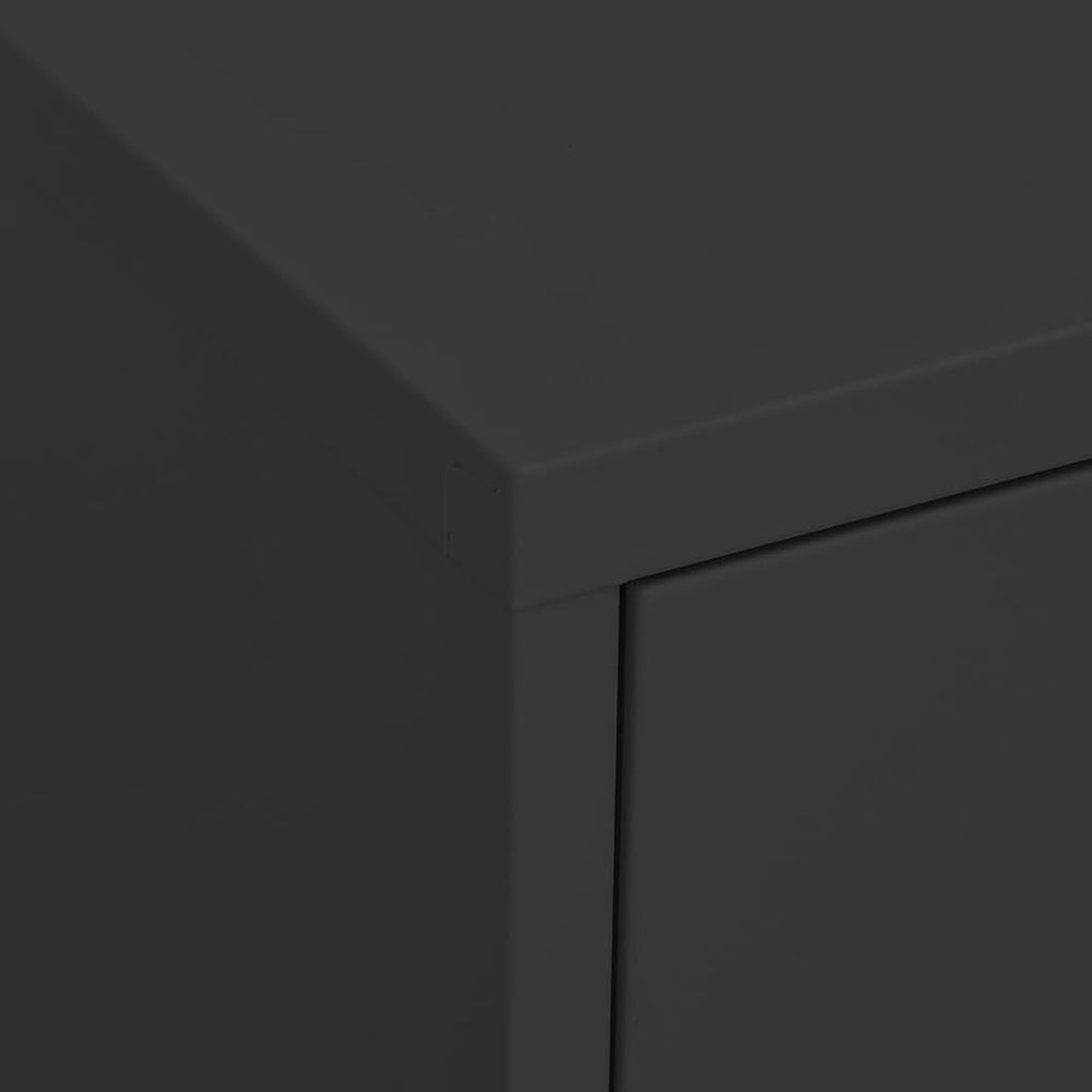 13.8x31.5x40 Steel Storage Cabinet, 2 Adjustable Shelves, Levelers, Matte, Ta...