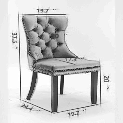 Virabit Blue Set of 2, Velvet Tufted Dining Chairs with Nailhead Back and Rin...