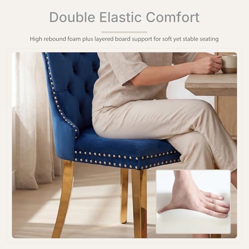 Blue Velvet Dining Chairs Set of 6, Fabric Upholstered Kitchen & Dining R...