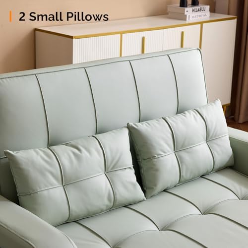 VINGLI Convertible Loveseat Sleeper Sofa Bed, Pullout Couch for Living Room |...