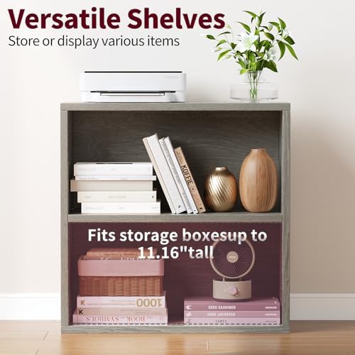 ALISENED 2 Tier Open Shelf Bookcase, Small Bookshelf with Storage