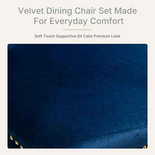 Blue Velvet Dining Chairs Set of 6, Fabric Upholstered Kitchen & Dining R...