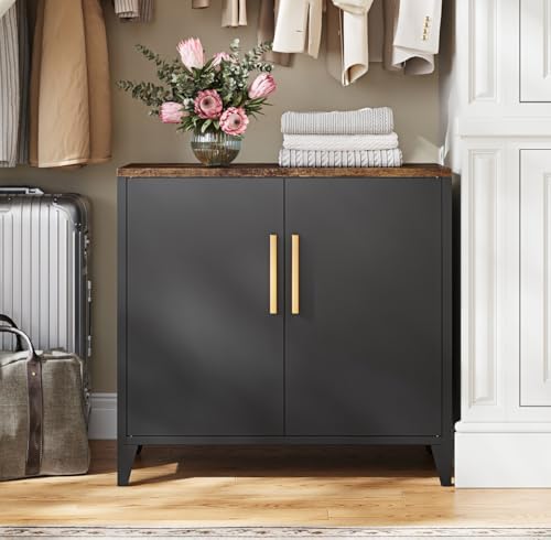 Letaya Metal Storage Cabinet with Doors, Small Kitchen Office Credenza