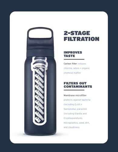 LifeStraw Go Series Insulated Steel Water Filter Bottle, 24 oz, Thistle Purple