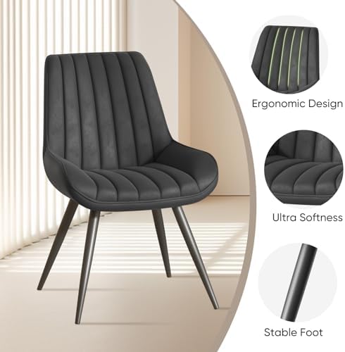 Nalupatio Modern Dining Chairs Set of 2, Comfortable Dining Room Chairs with ...