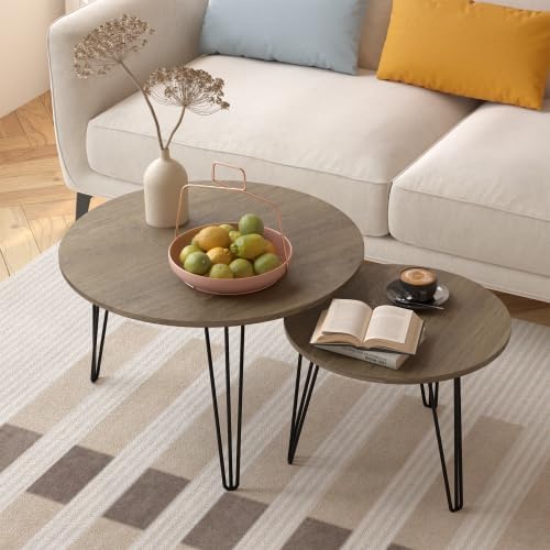 Round Nesting Coffee Tables Set of 2, Marble Grain Top Modern Side Tables | M...