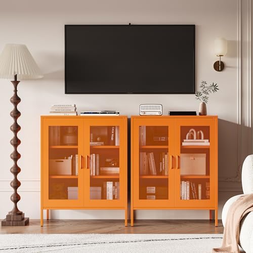 Chshin Metal Locker Storage Cabinet with 2 Mesh Doors and Adjustable Shelves,...