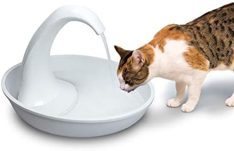 Pioneer Pet Swan Pet Drinking Fountain for Cats and Dogs - 80oz Capacity, Gre...