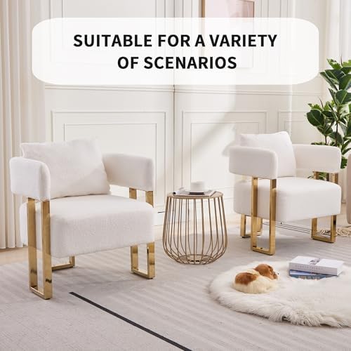 YITAI Modern Accent Chairs no Wheels, Living Room Side Chairs Set of 2 with G...