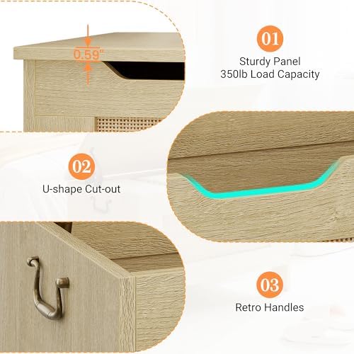 IDEALHOSUE 30” Storage Chest, Wooden Storage Bench with Safety Hinge, Retro B...
