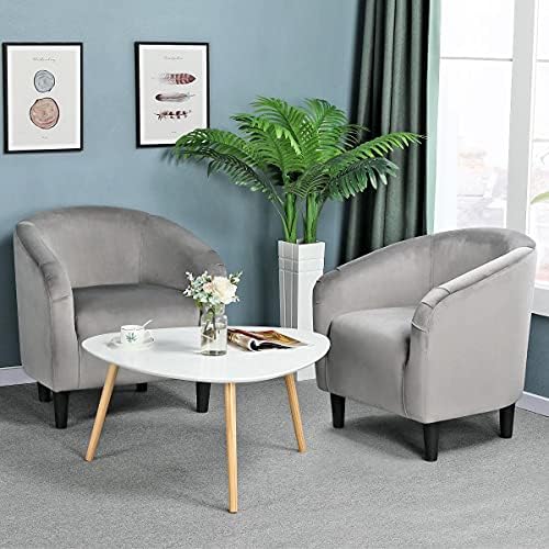 Yaheetech Compact Velvet Accent Chairs Set of 2 for Small Spaces, Gray