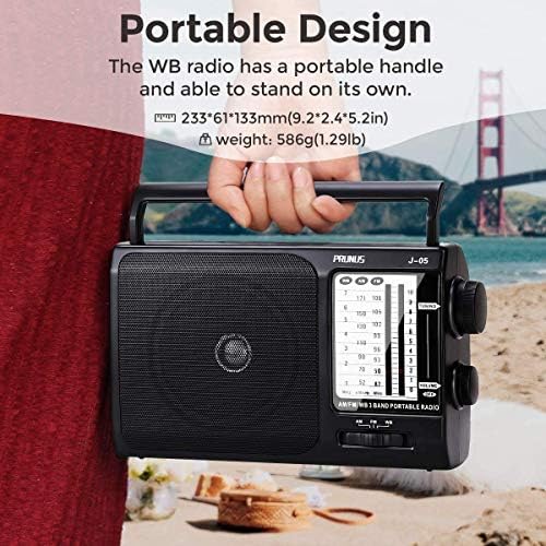 NOAA Weather AM FM Portable Radio, 3 D Batteries or AC Adapter Powered
