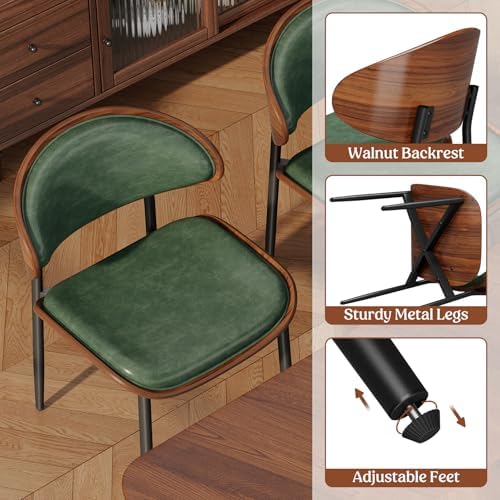REONEY Dining Chairs Set of 4, Mid-Century Modern Kitchen Chairs, Green