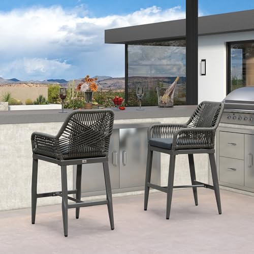 PURPLE LEAF 24" Bar Stools Set of 2 Comfortable Seat Cushion, Smoke Grey