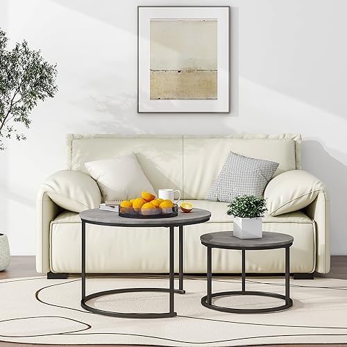 HOJINLINERO Round Nesting Coffee Tables Set of 2,Black+Warm Grey,Large | Cent...