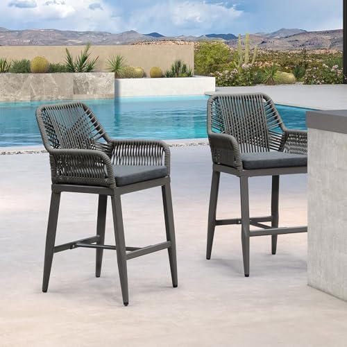 PURPLE LEAF 24" Bar Stools Set of 2 Comfortable Seat Cushion, Smoke Grey