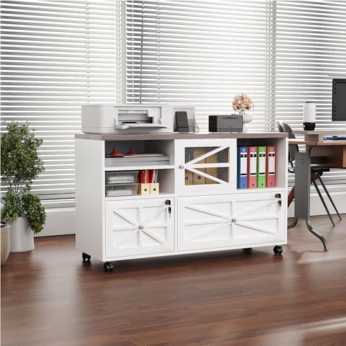 2 Drawer Farmhouse File Cabinet with Lock, Mobile Lateral Filing Cabinet for ...