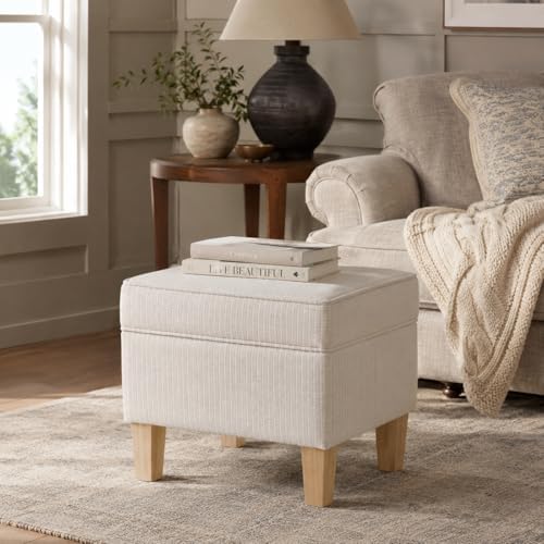 HomePop Home Decor | Upholstered Modern Rectangular Storage Ottoman | Hinged Lid Ottoman with Storage for Living Room & Bedroom, White Woven Stripe
