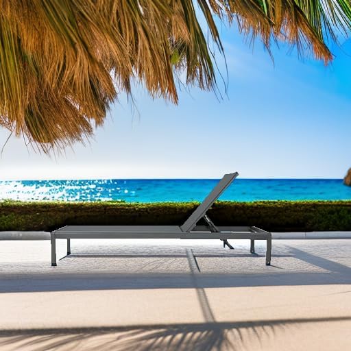 Christopher Knight Home Cape Coral Outdoor Aluminum Chaise Lounges with Mesh ...