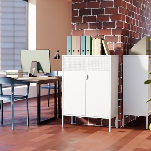 Washsemba 2 Mesh Door Metal Storage Cabinet with Adjustable Shelves, Multipur...