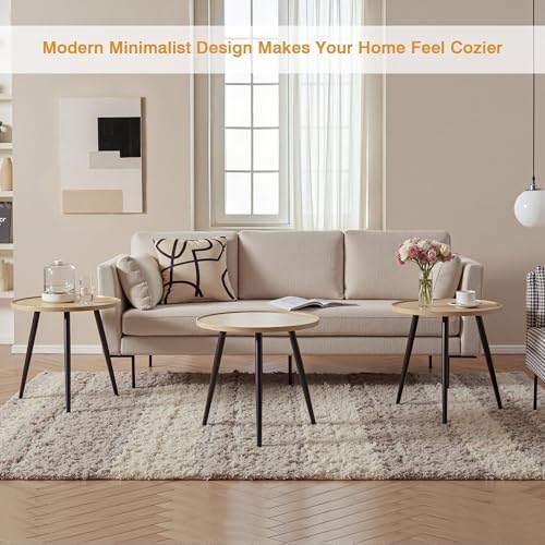VECELO Modern Side Table, Round Small End Table, Exclusively Designed Hand-Cr...