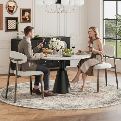 MALOL Dining Chairs Set of 2, Upholstered Kitchen & Dining Room Chairs wi...