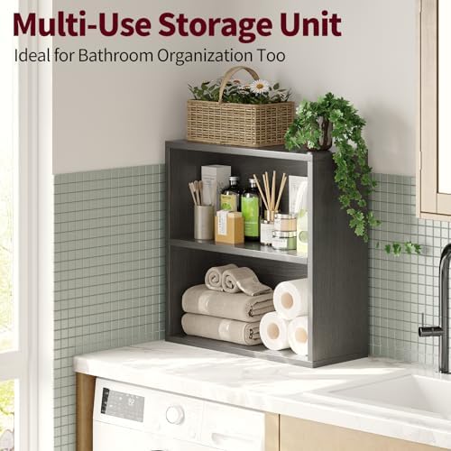 ALISENED 2 Tier Open Shelf Bookcase, Small Bookshelf with Storage