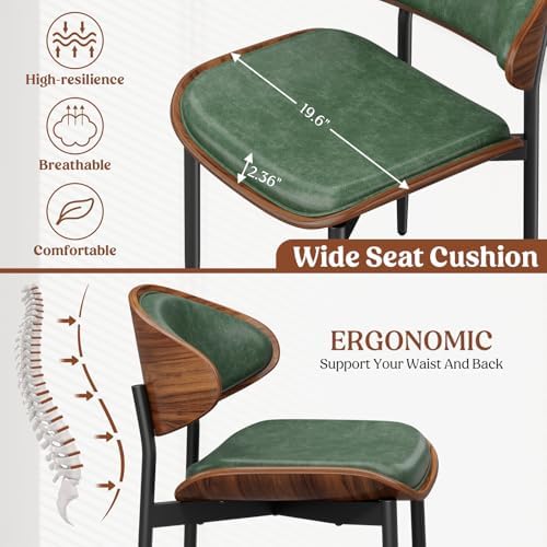 REONEY Dining Chairs Set of 4, Mid-Century Modern Kitchen Chairs, Green