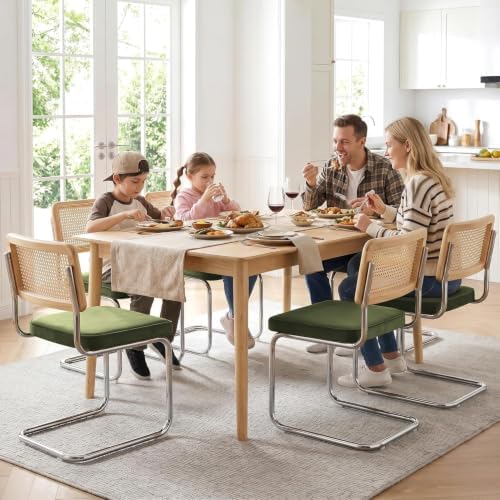 Zesthouse Natural Rattan Dining Chairs Set of 2, Modern Cesca Kitchen Chair