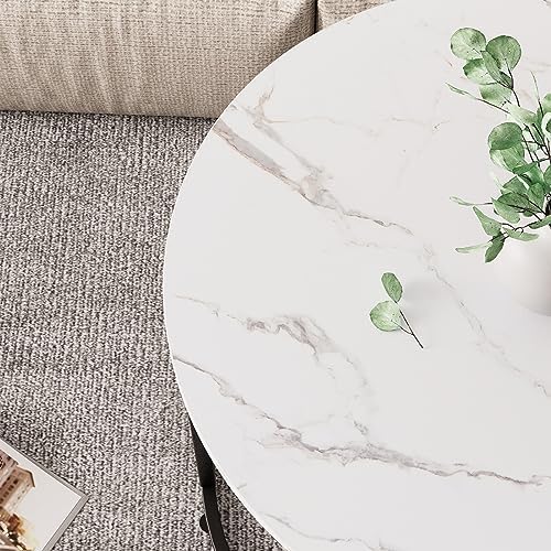 aboxoo Round Nesting Coffee Table Side Table Set of 2 End Tables for Living R...