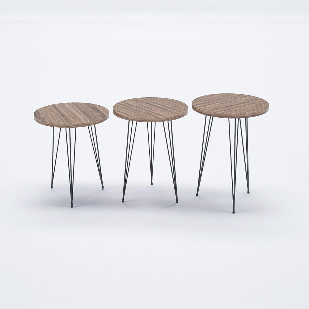 Round Nesting Set of 3, Modern Woodgrain Look Base for Living Room Coffee Tab...