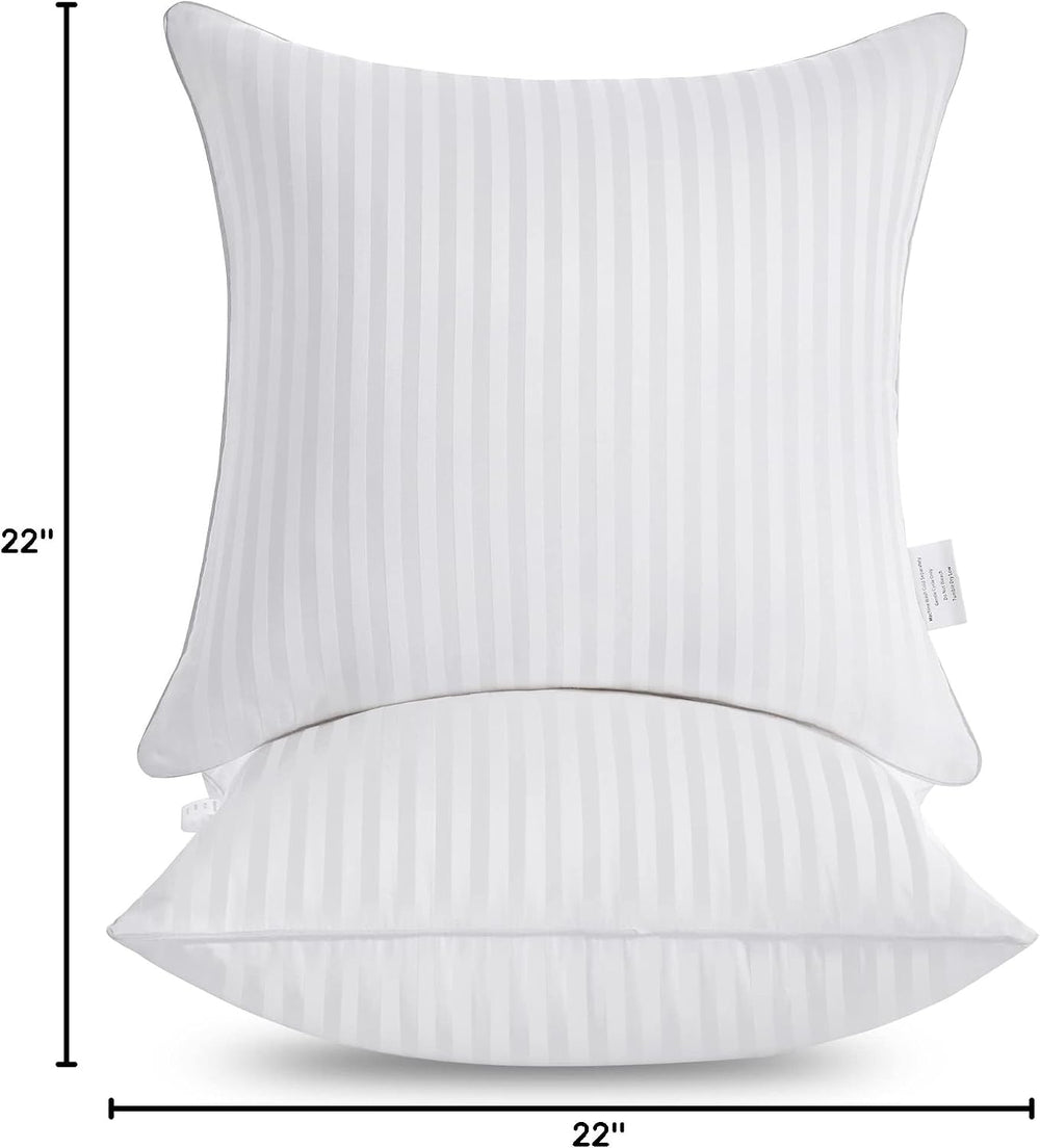 Oubonun 22 x 22 Throw Pillow Inserts Set of 2