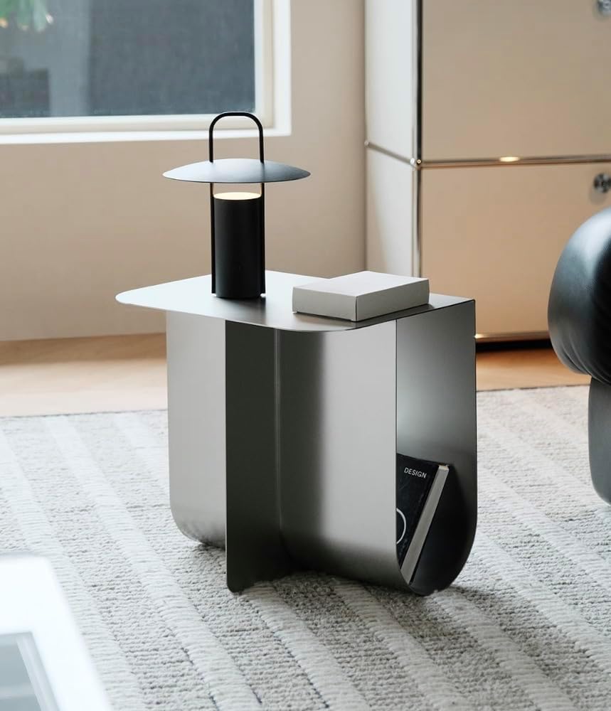 Modern Stainless Steel Side Table, Minimalist Storage Coffee Table,Accent Tab...