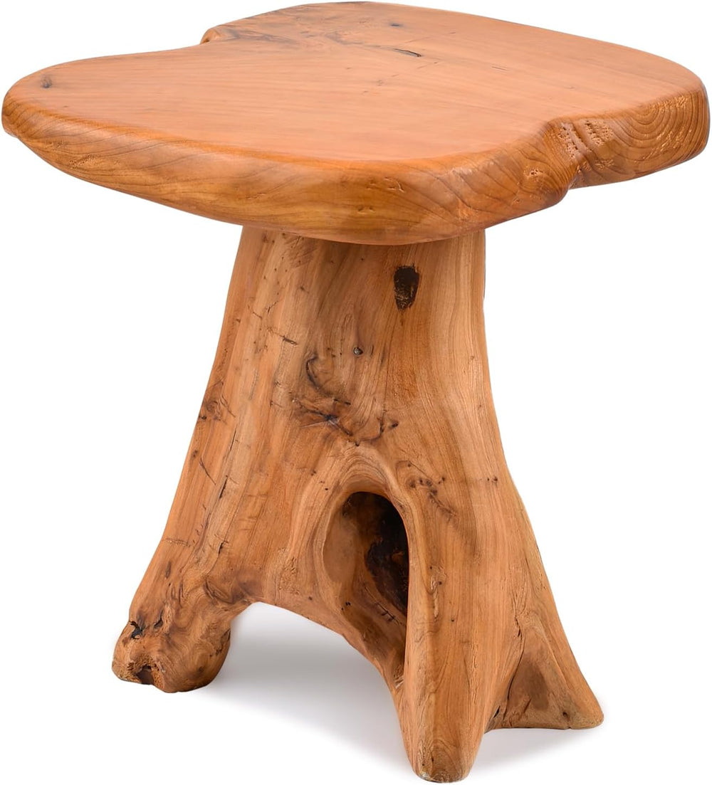 Small Side Table, Freeform Live Edge Wood Stool, Unique Design Natural Plant ...
