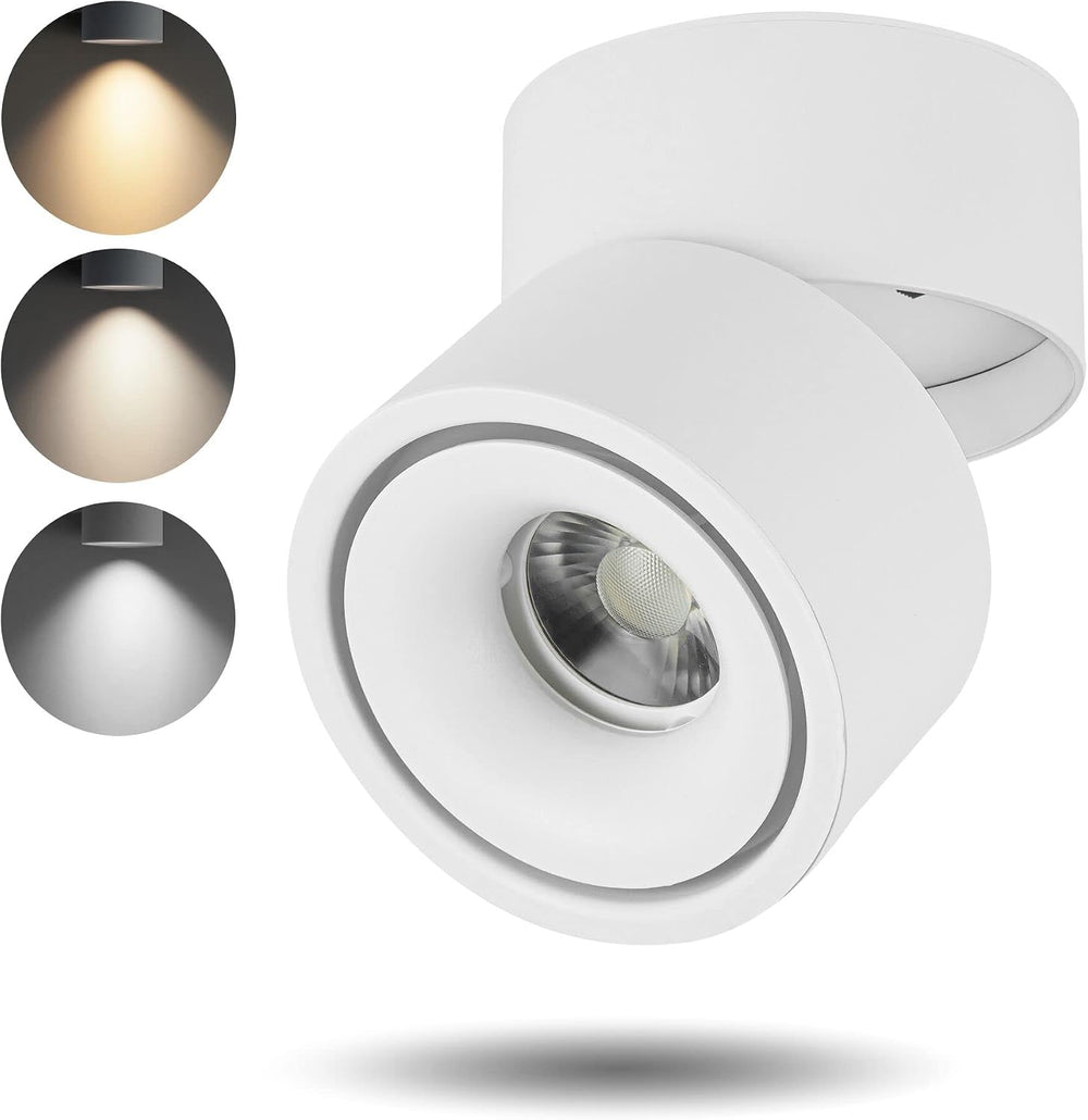 LED Ceiling Spotlight Indoor Directional Lighting Ceiling Light