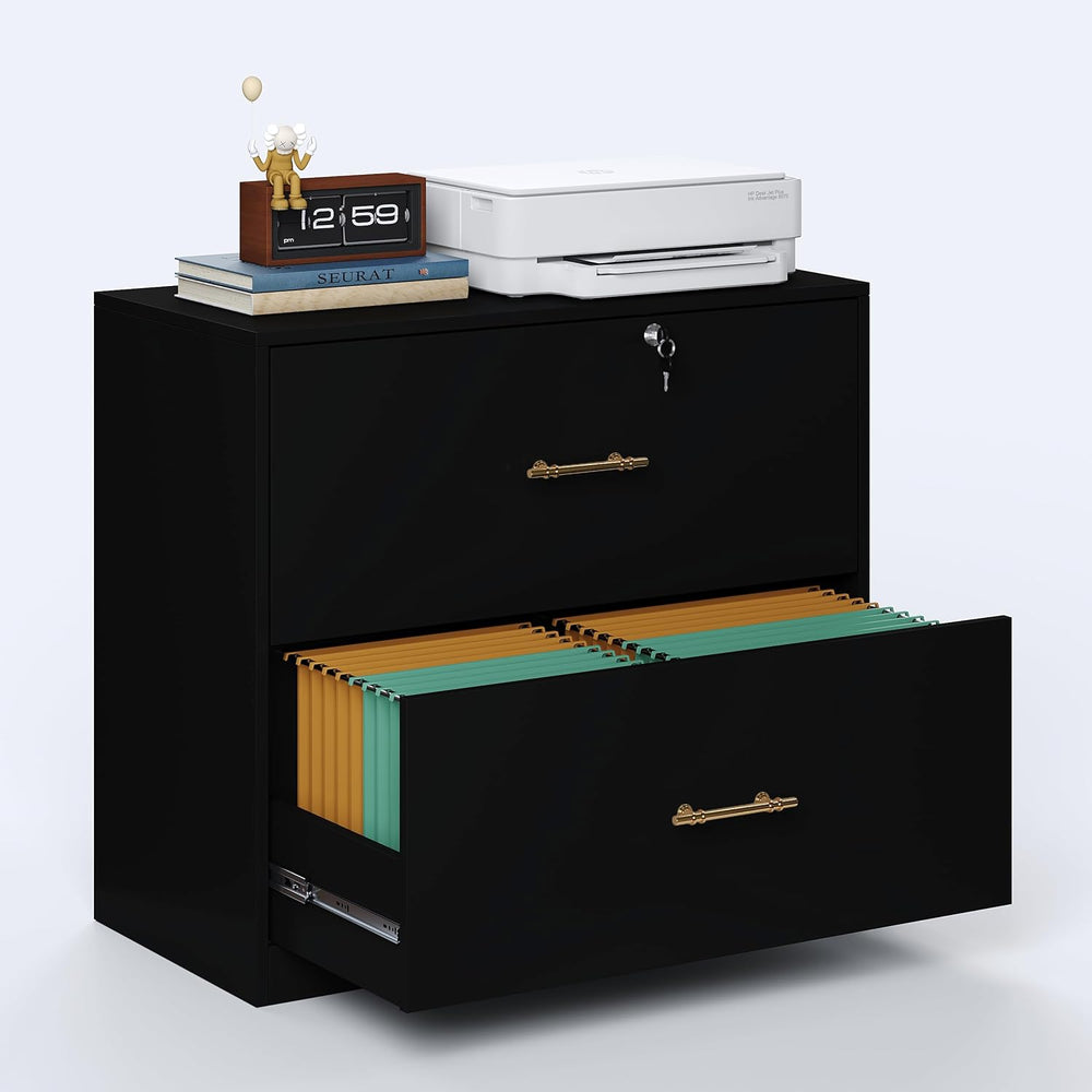 2 Drawer Lateral File Cabinet with Lock, Suitable for Letter/A4/F4/Legal Size...