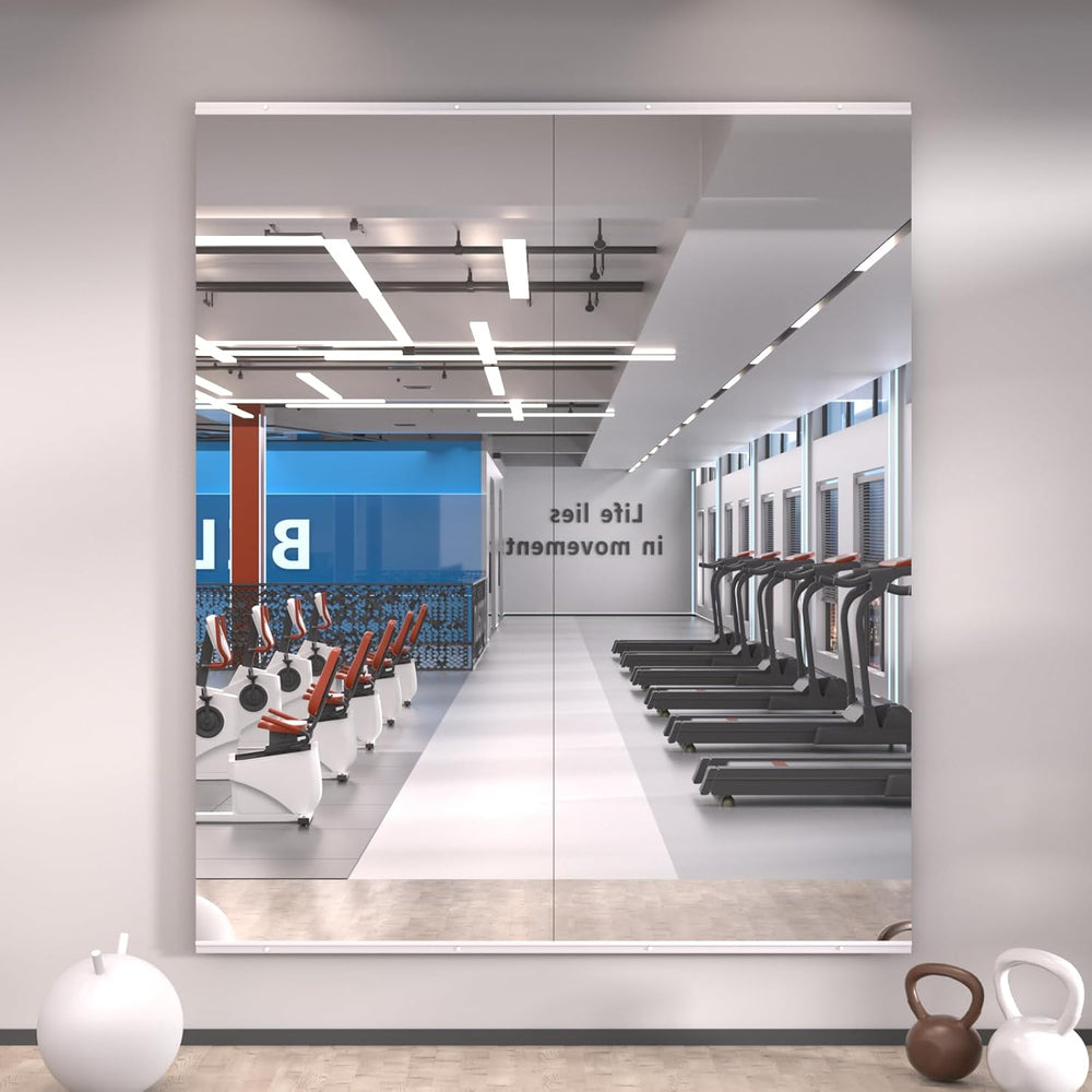 LOAAO Home Gym Mirror 56"x22", 2 PCS
