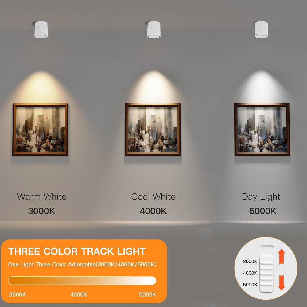 LED Ceiling Spotlight Indoor Directional Lighting Ceiling Light
