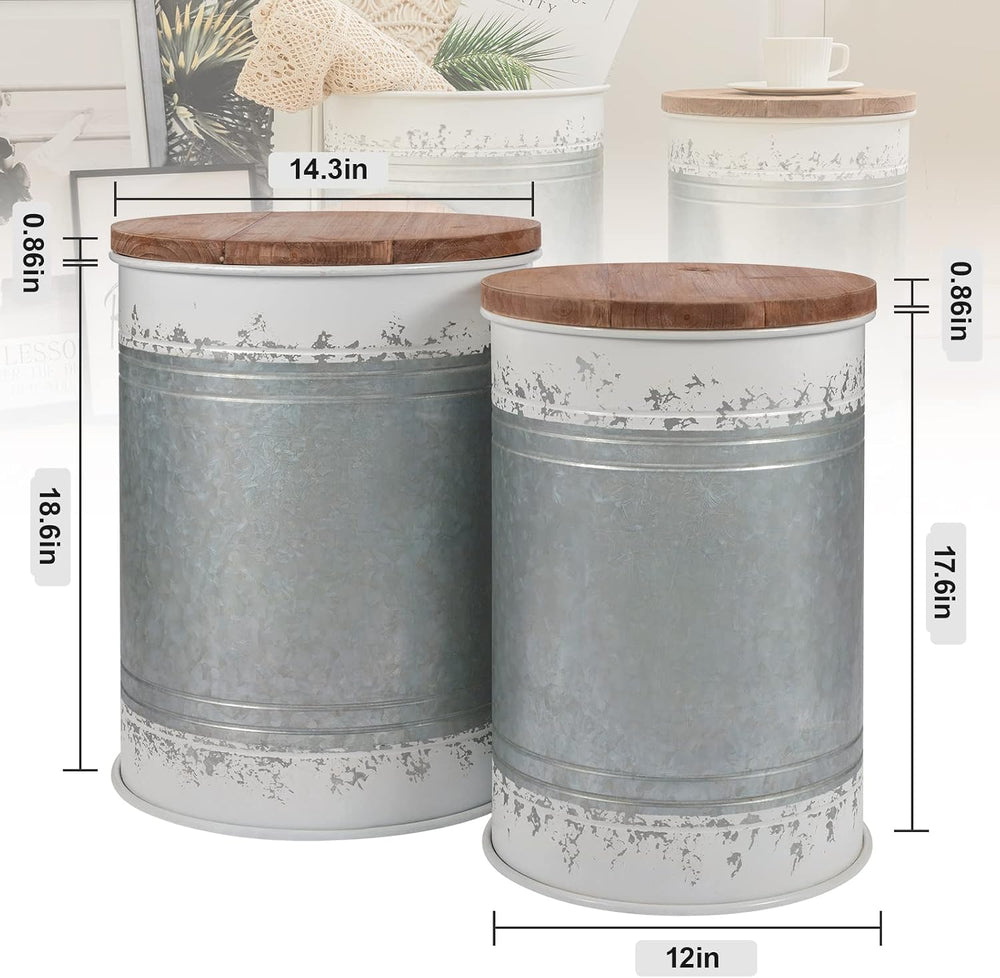 BRIAN & DANY 2 Pack Farmhouse Accent Side Table, Rustic Storage Ottoman S...