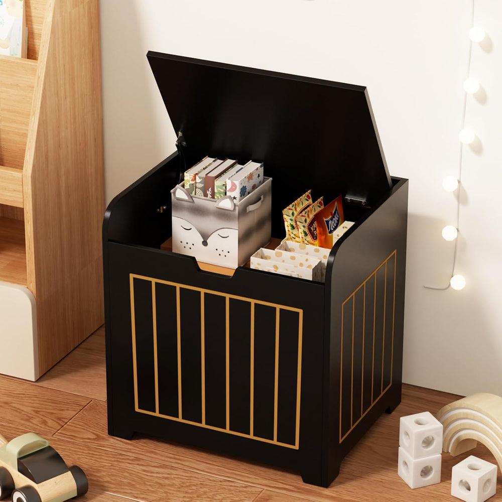 Aenuert Storage Chests, Small Cube Organizer Box,Wooden Entryway Storage (Bla...