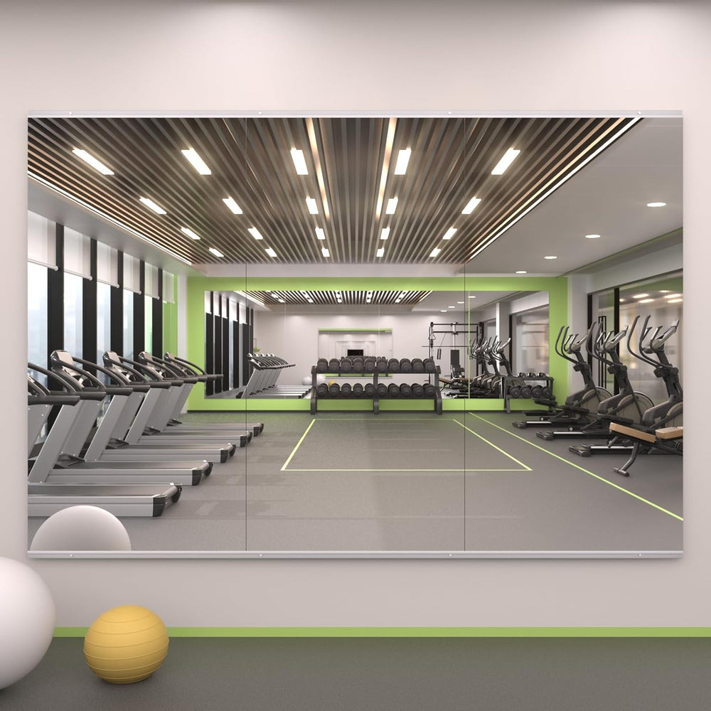 LOAAO Home Gym Mirror 48"x24", 3 PCS