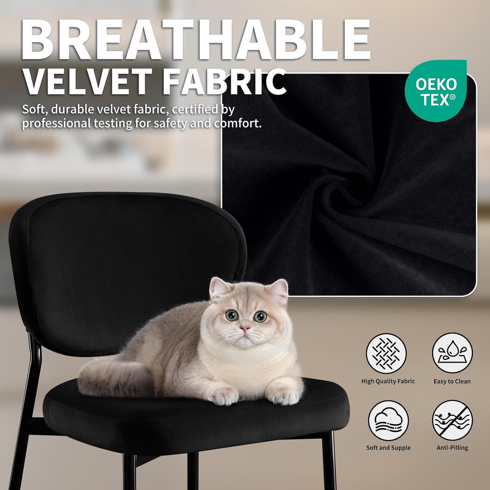 STOOLINK Black Velvet Dining Chairs Set of 2, Upholstered Kitchen Chairs | Mo...