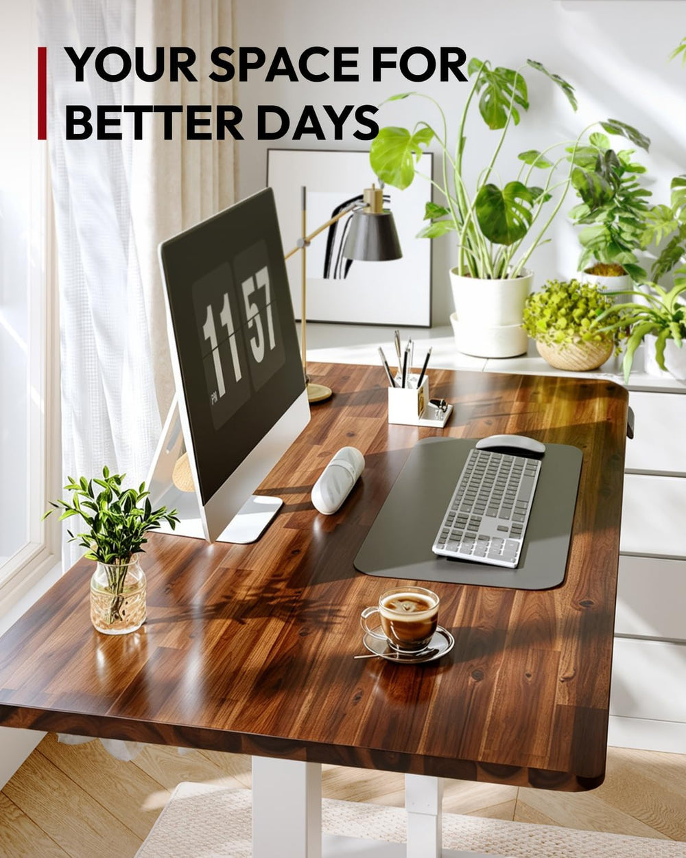 SANODESK Solid Wood Dual Motor Standing Desk-48"x24"-Brown/White