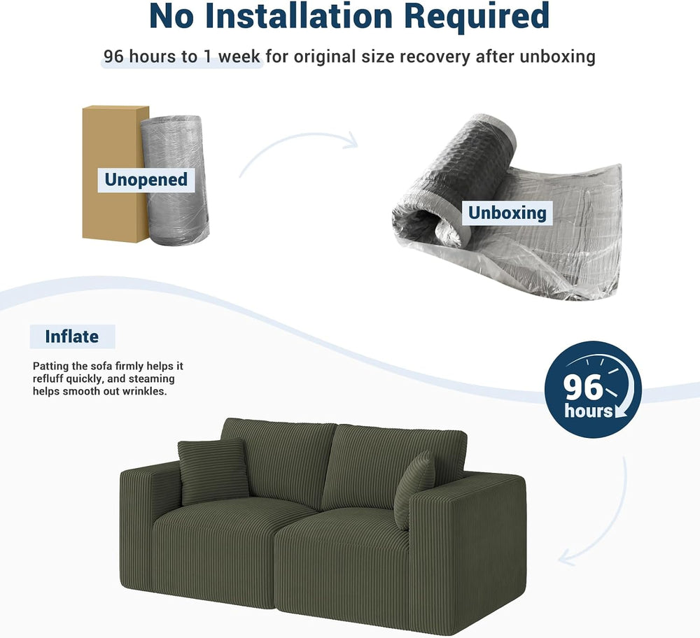 Modular Loveseat Couch Cloud Couches for Living Room - 79" Sofa - No Ass...