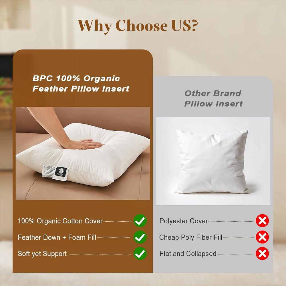 BPC 20x20 Down Feather Throw Pillow Inserts Set of 2, 100% Organic Cotton Cov...