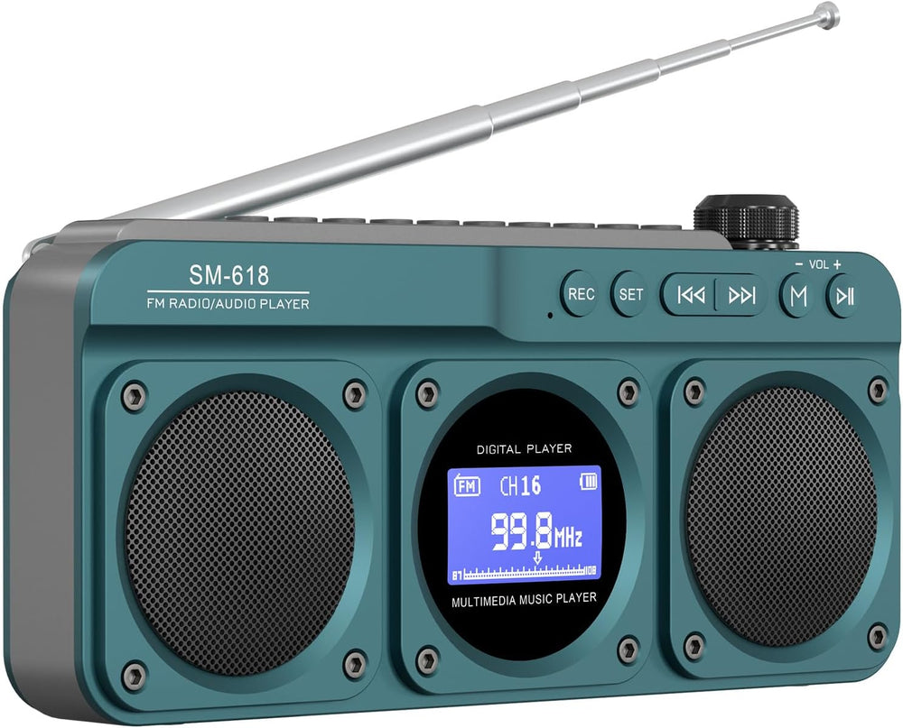 Small Digital FM Radio Bluetooth Speaker, Support USB/SD Card