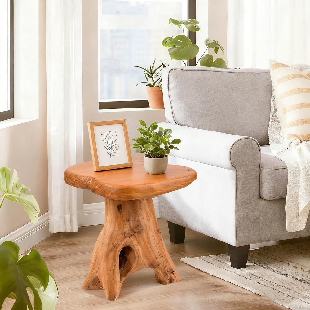 Small Side Table, Freeform Live Edge Wood Stool, Unique Design Natural Plant ...