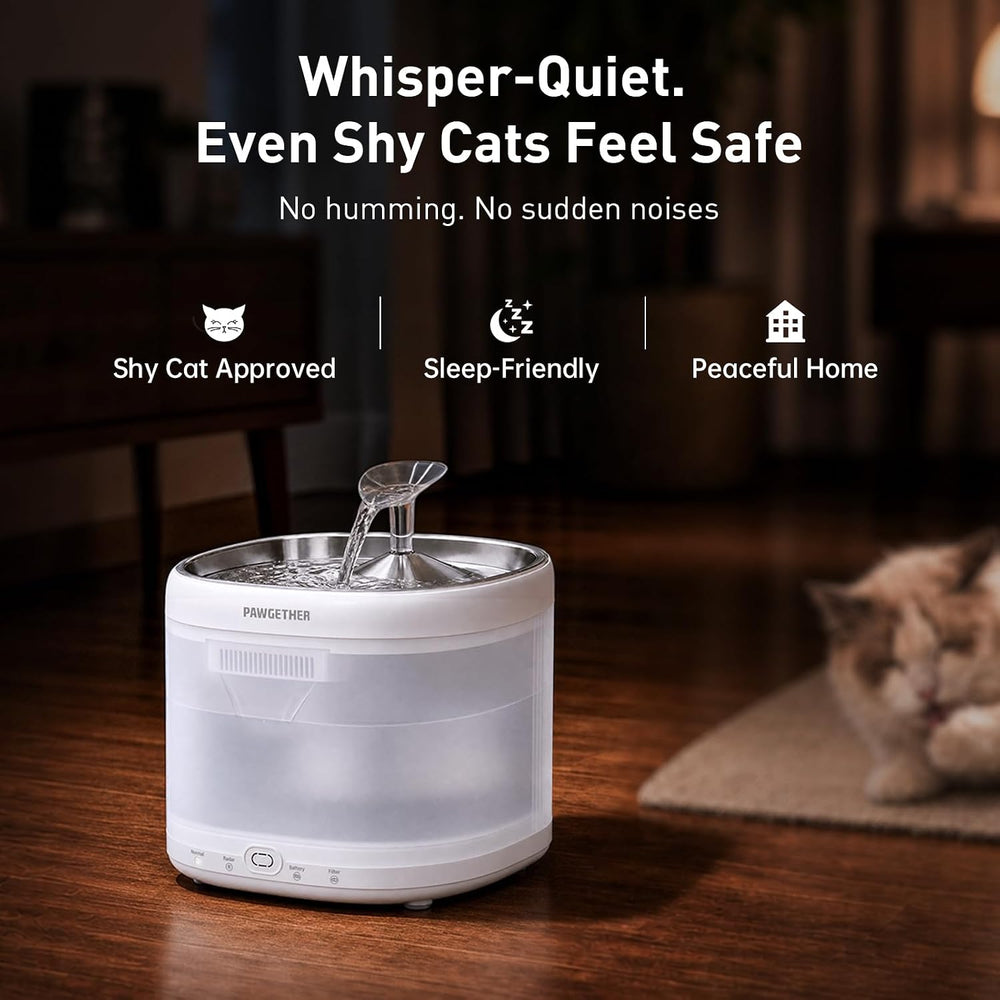 Cat Water Fountain, 67oz/2L Quiet Pumpless, Perfect for Cat & Dog