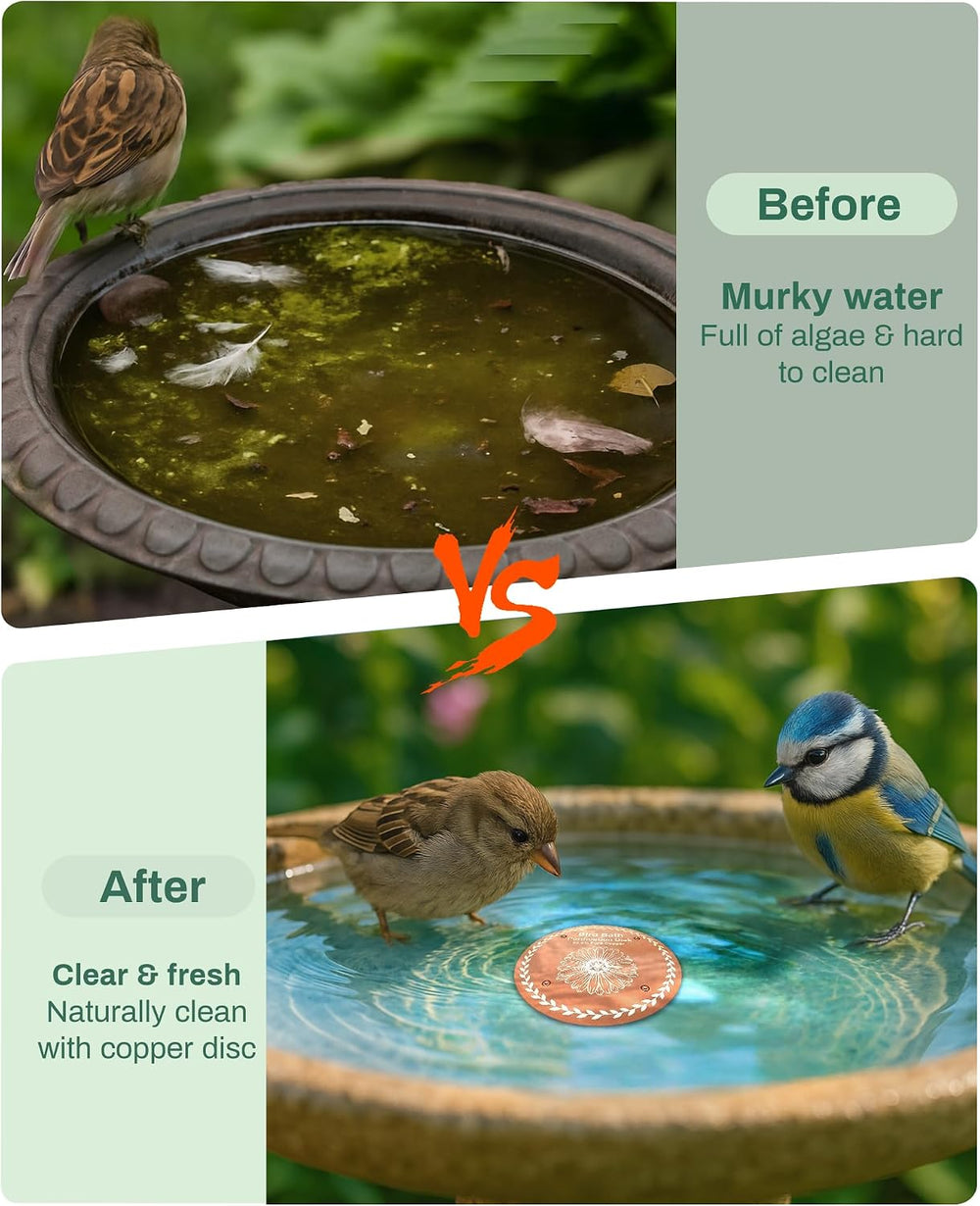 OICEME Bird Bath Purification Disk Pure Copper Backyard Outside Solar Power W...