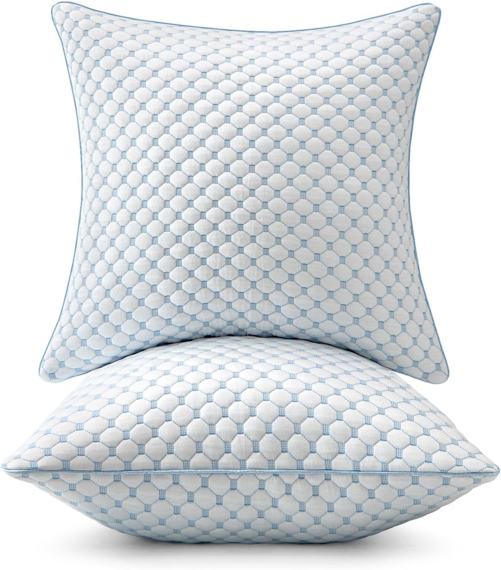MIULEE 20x20 Decorative Pillow Inserts Set of 2 Memory Foam Filling